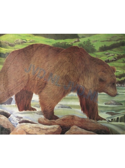 6.5 Terč 2D kreslený medveď JVD veľký obrázok 122x 98 cm (6029)