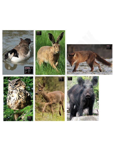 4.5. Terče zvierat Maximal - fotografie rôzne druhy
