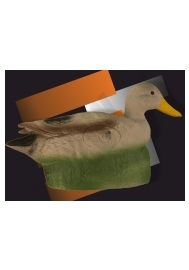 Kačka 3D  ELEVEN (6315)
