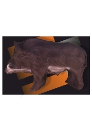 diviak stredný 3D  ELEVEN superterč aj na silné kuše a kladkové luky (wild boar) (6312)